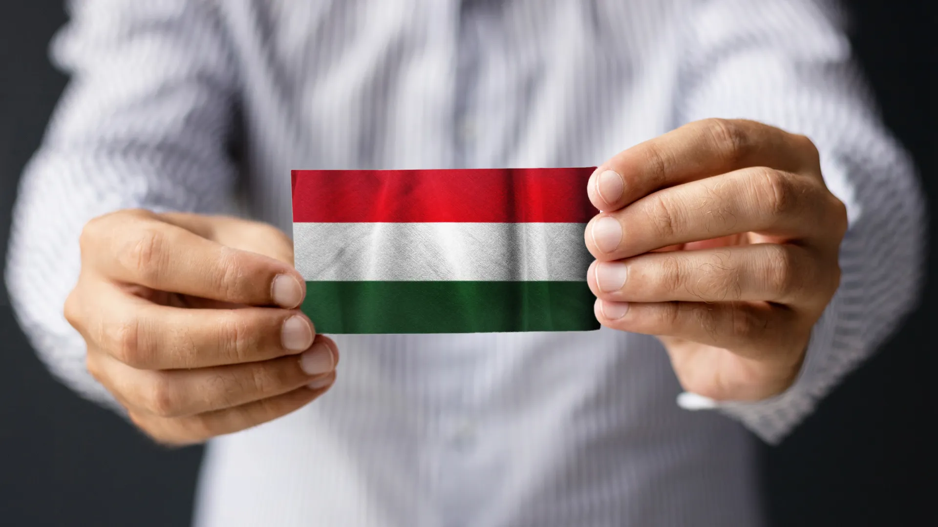 Egy nap 1956 nyomában